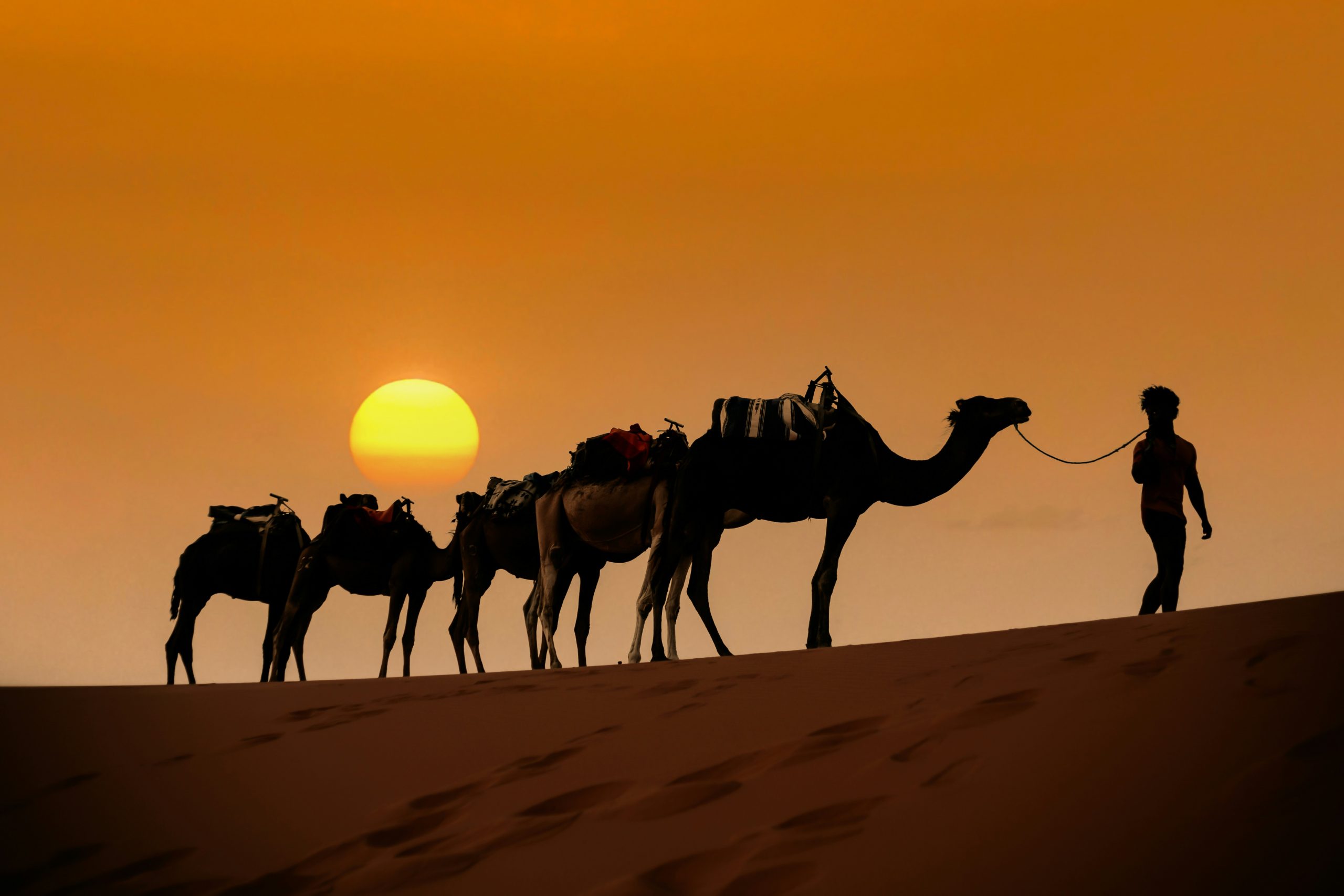 Caravane de chameaux guidée par un homme dans le désert du Sahara au coucher du soleil